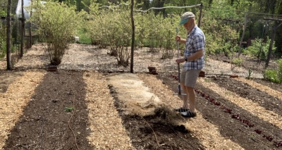 Raking up mulch