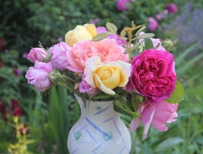 Vase of homegrown roses