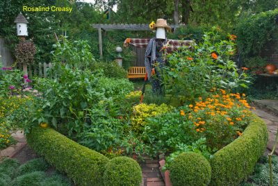 Edible Landscaping, Creasy