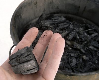 Biochar 