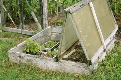 Coldframe with bifold cover