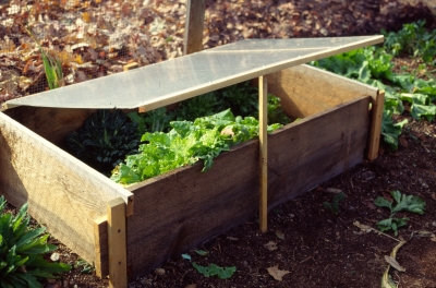 Primitive coldframe