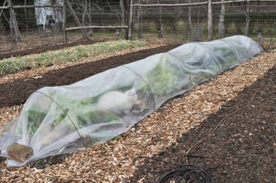 Tunnel over garden bed