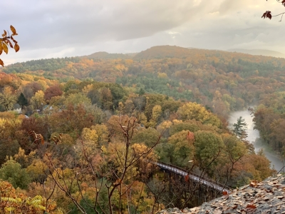 Forests of maples in autumn color