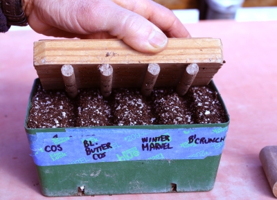 Making mini-furrows in seed flat