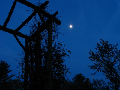arbor in moonlight