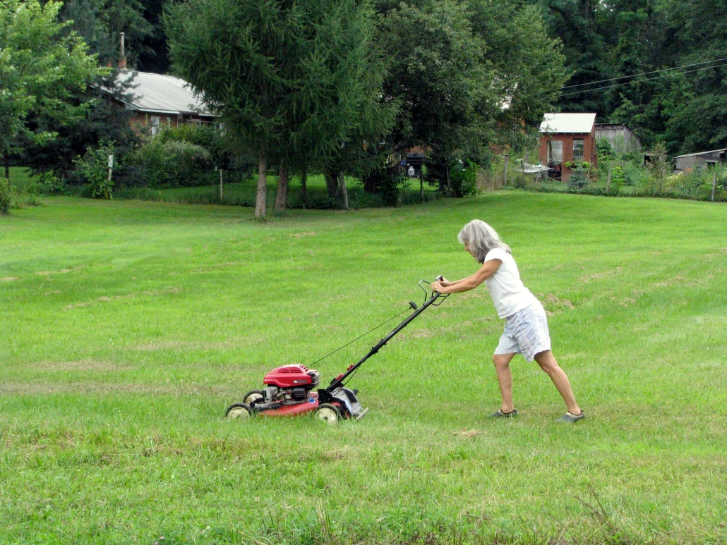 GARDENING LUNACY Lee Reich