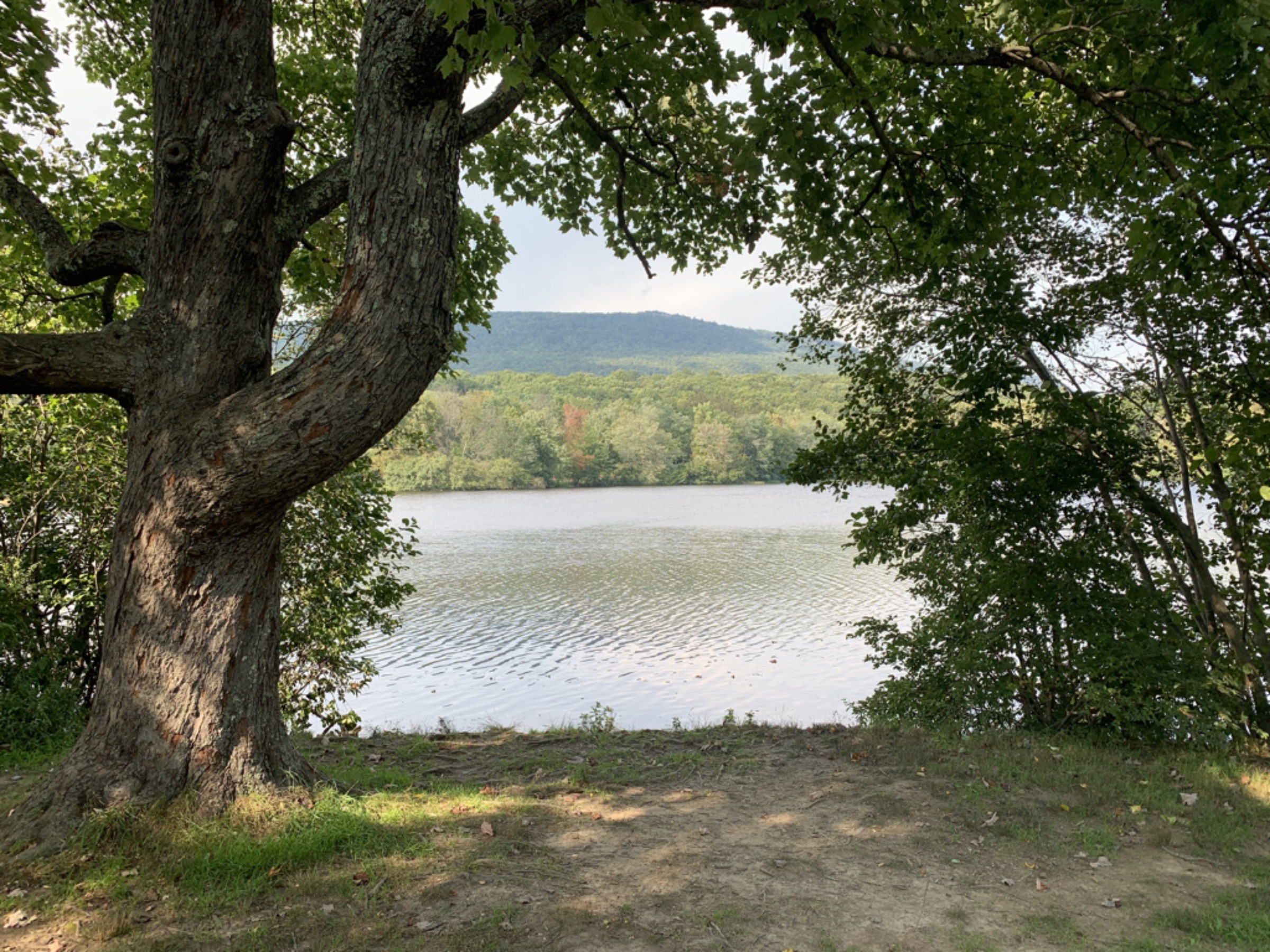 Lake, mountains, and sky