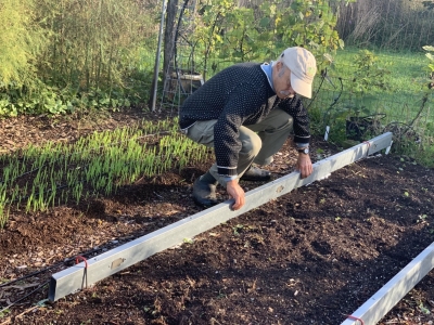 Compost, edging bed