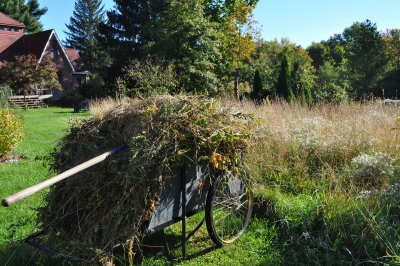 Hay on cart