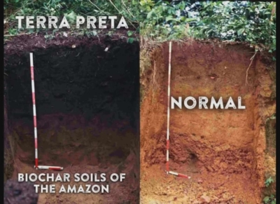 Terra-Preta