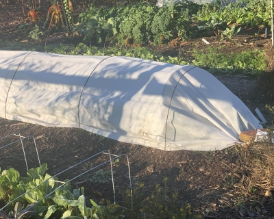 Fabric covered tunnel in garden