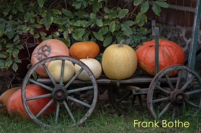Pumpkins on a cart