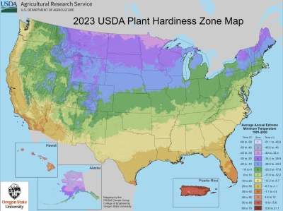 USDA Plant Hardiness Map 2023