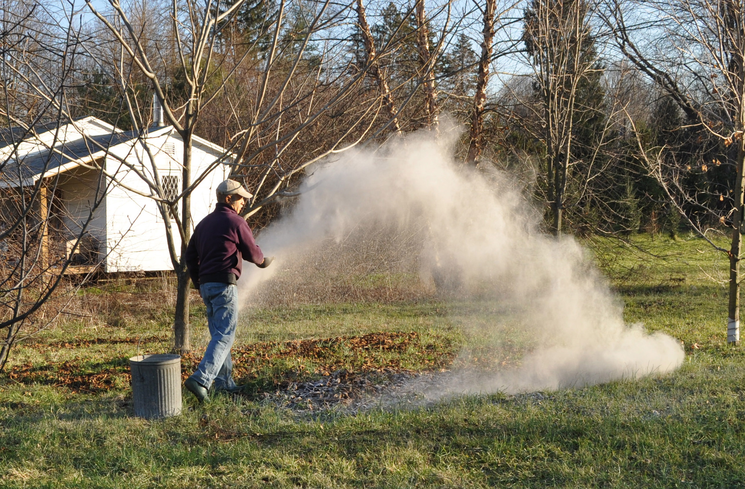 Spreading wood ash