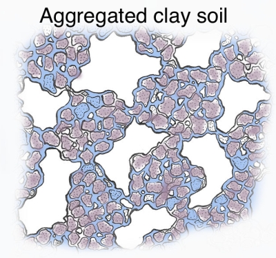 Aggregated clay soil