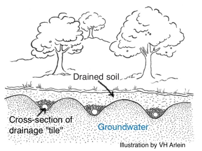 Drainage of soil