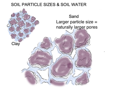 Particle sizes & water