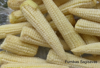 Baby corn