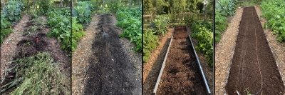 Bed clean up and compost spread