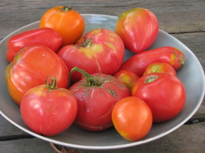 Heirloom tomatoes on plate