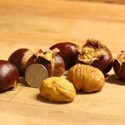 Marigoule roasted chestnuts