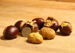 Marigoule roasted chestnuts