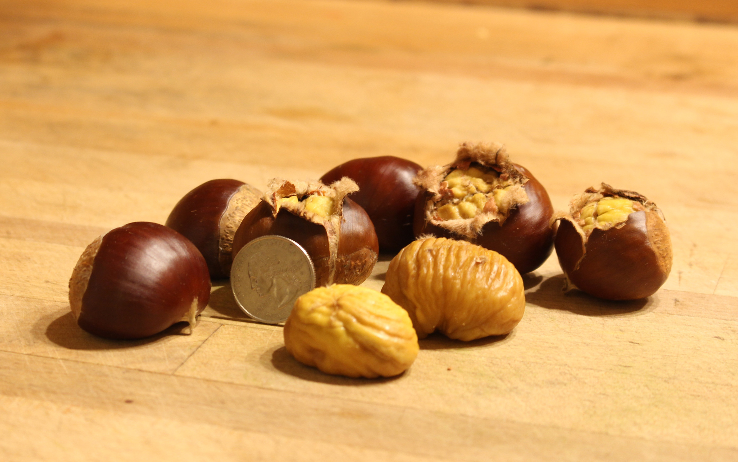 Marigoule roasted chestnuts