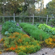 Garden in October