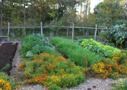 Garden in October