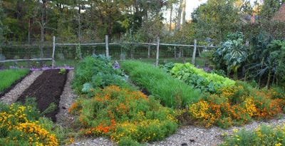 Garden in October