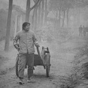 Cart use in China, 1980's