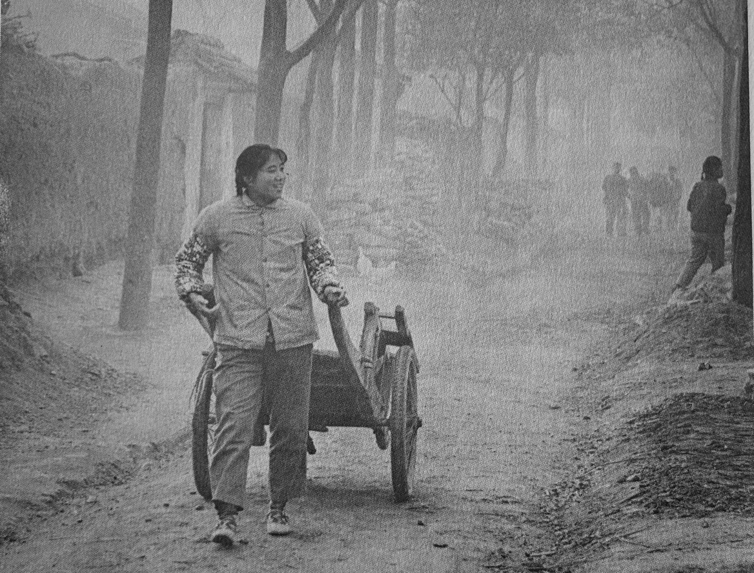 Cart use in China, 1980's