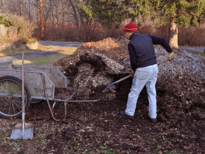 Loading cart with wood chips