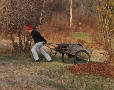 Pulling loaded garden cart 