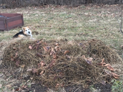 And finally, some hay