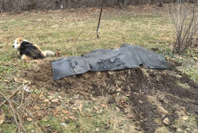 Soil and tarp over trench