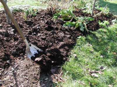 Spreading leaf mold