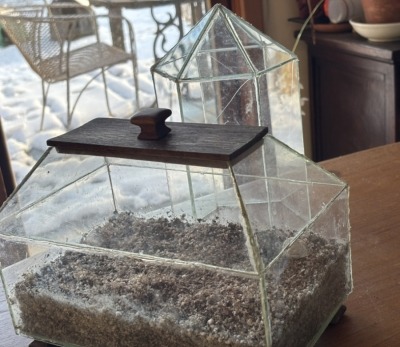 Home made mini greenhouses