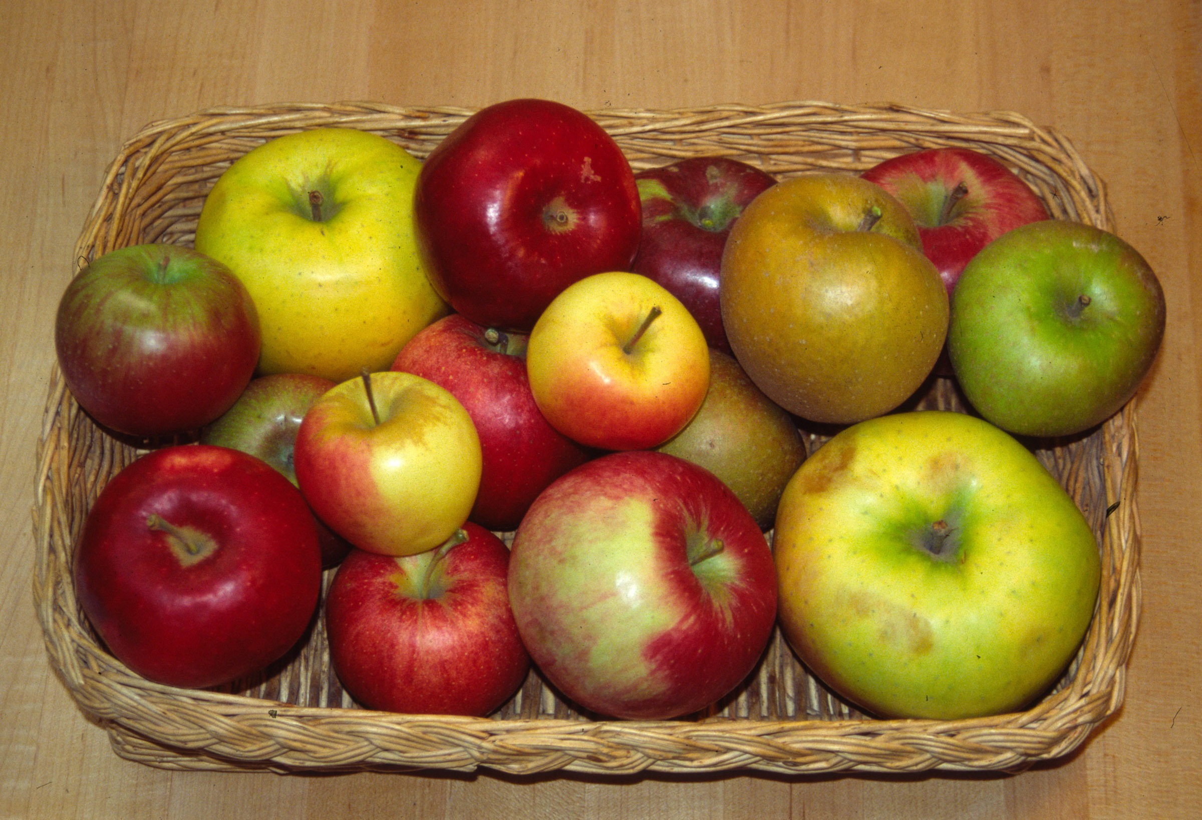 Basket of various heirloom apples