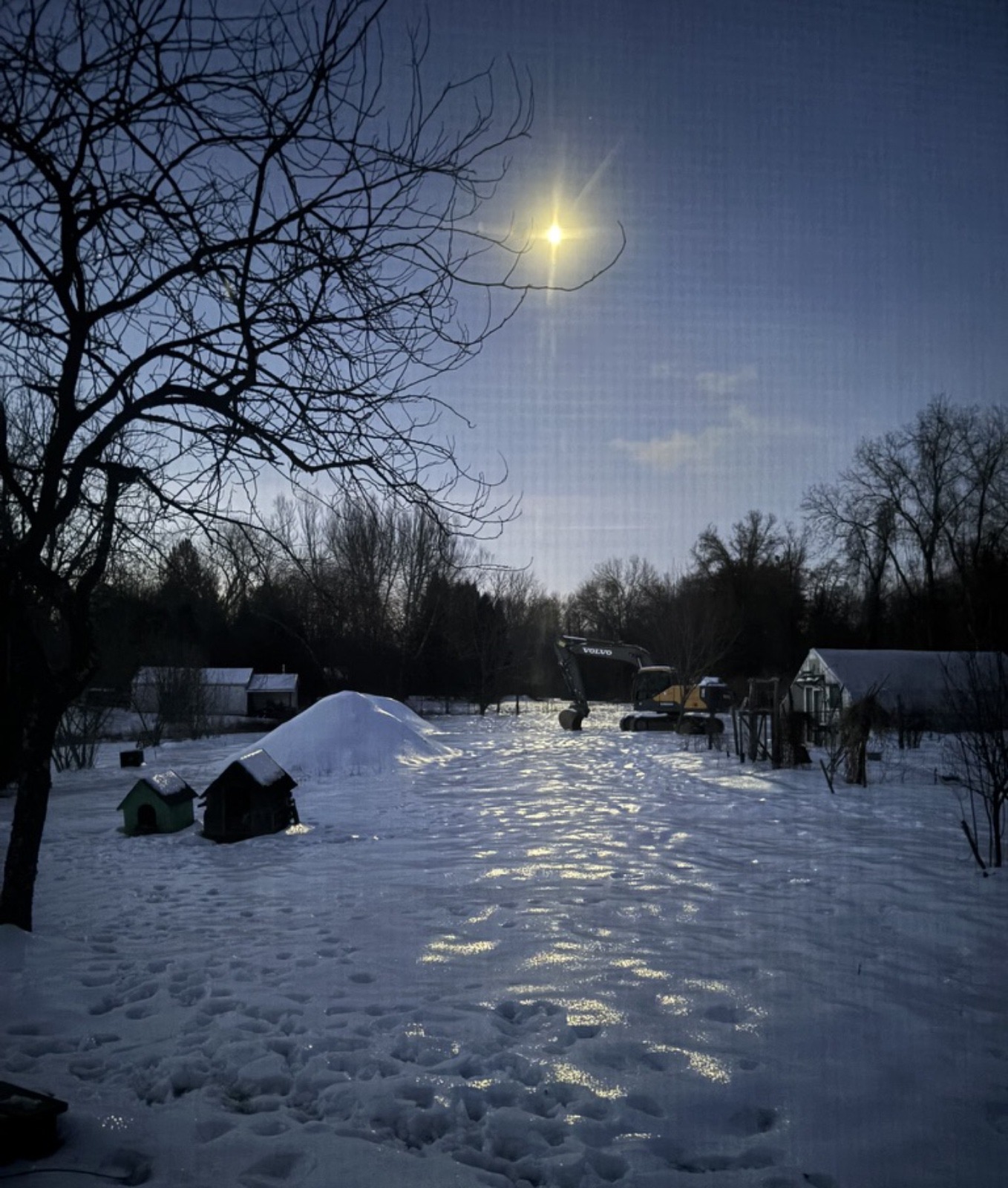 Moonlight on snow