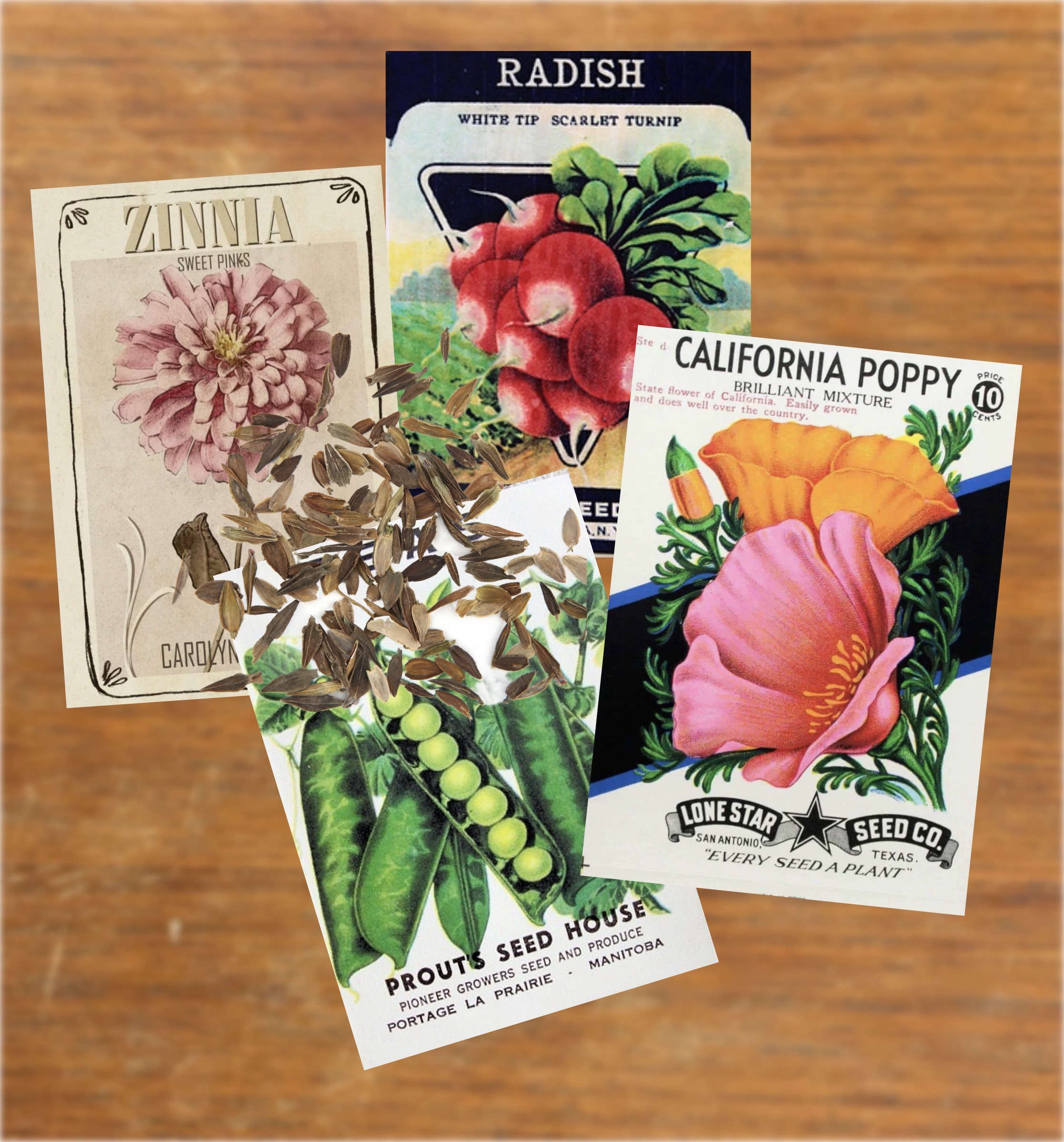 Old seed packets