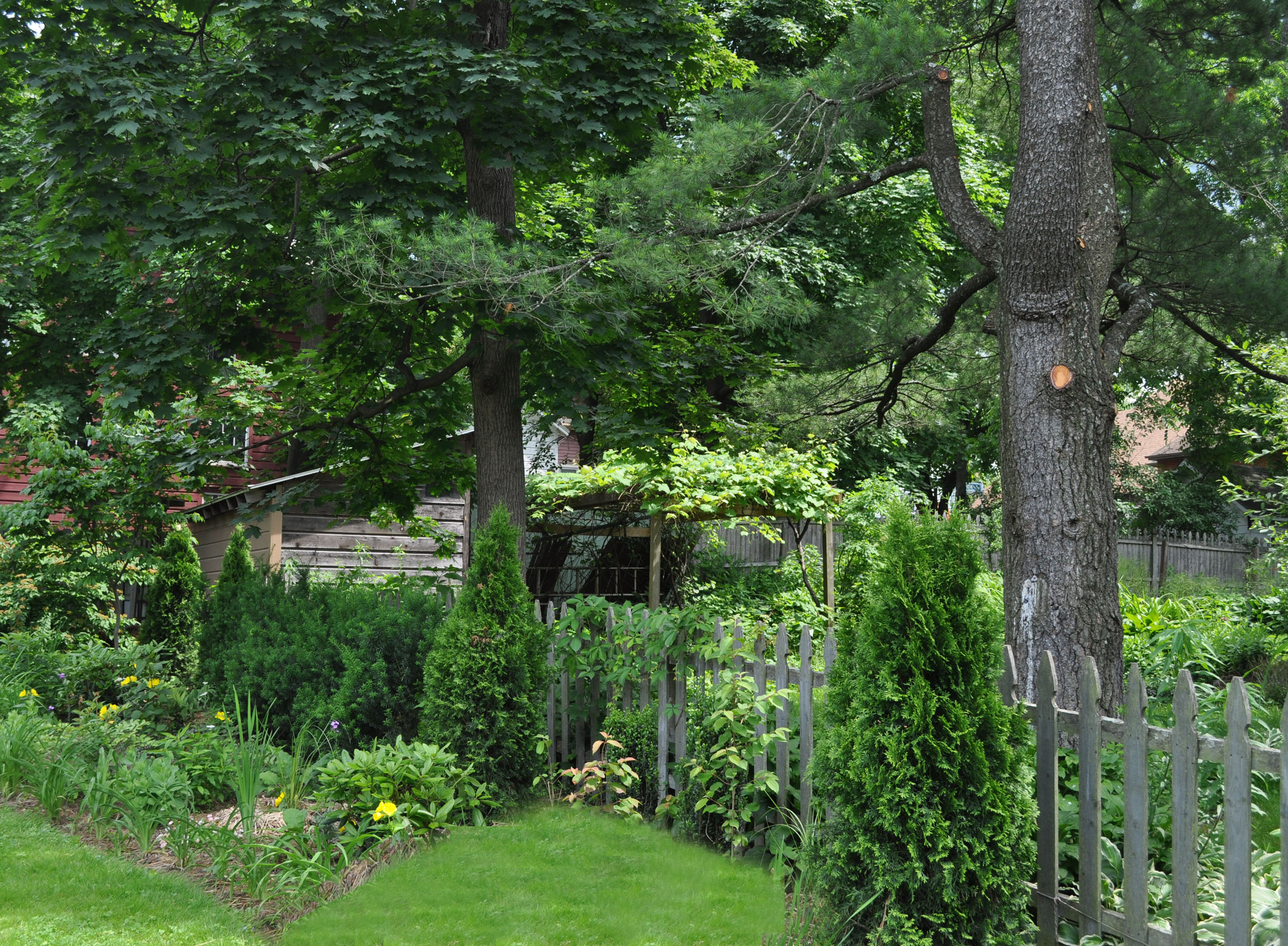 Borrowed suburban backyard