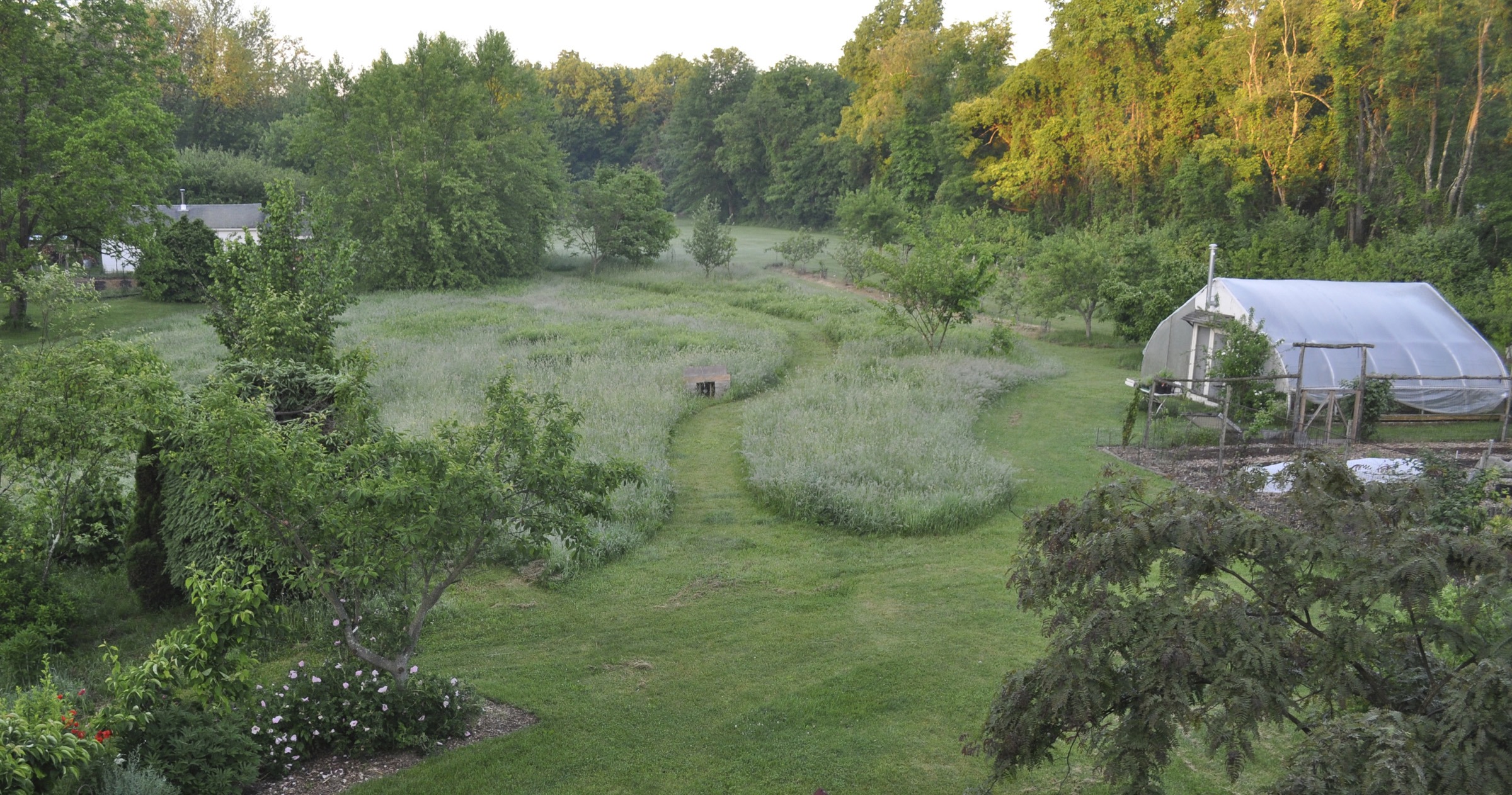 My meadow and adjacent property