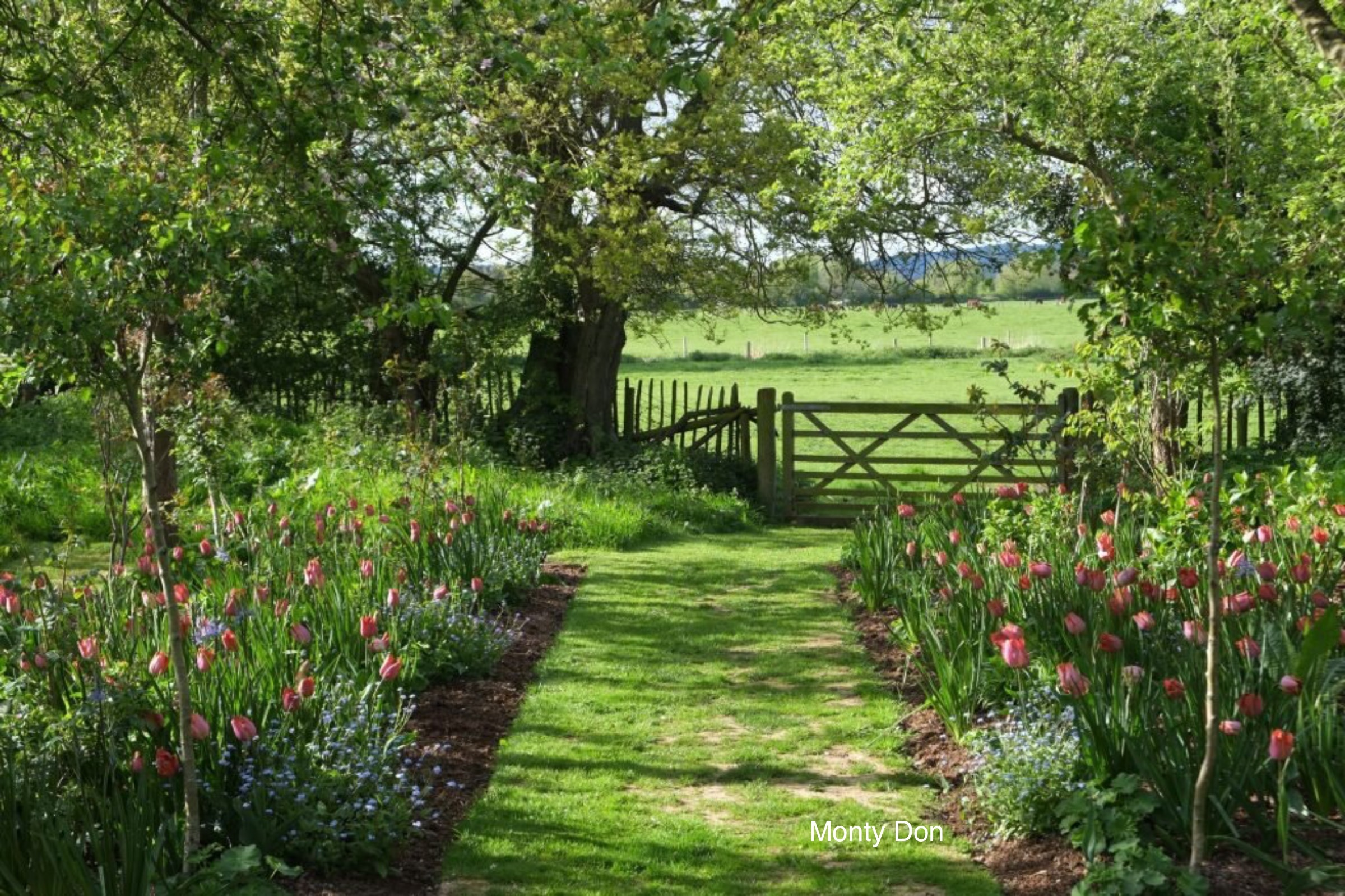 Meadow with gate