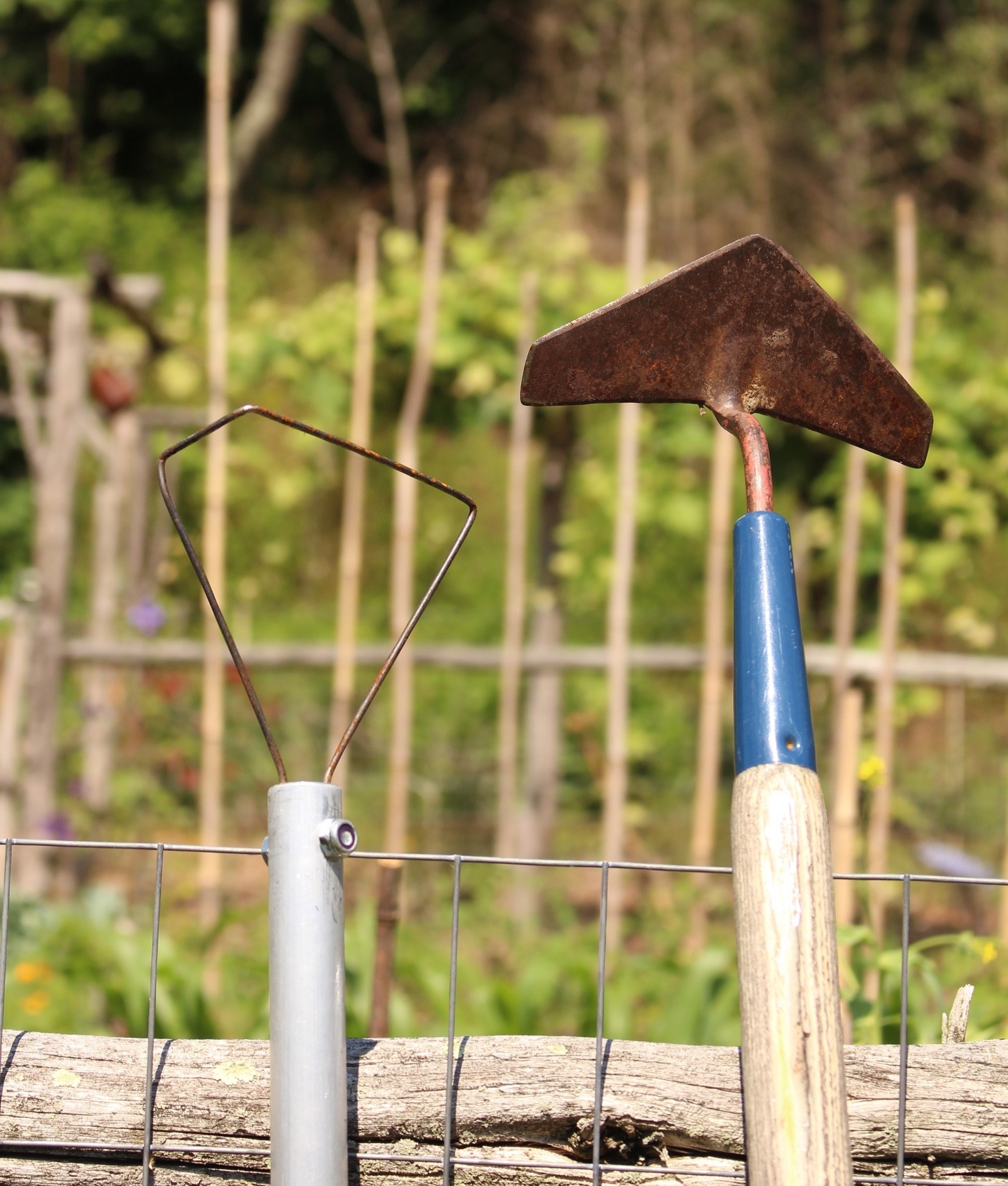 Wire weeder and winged weeder
