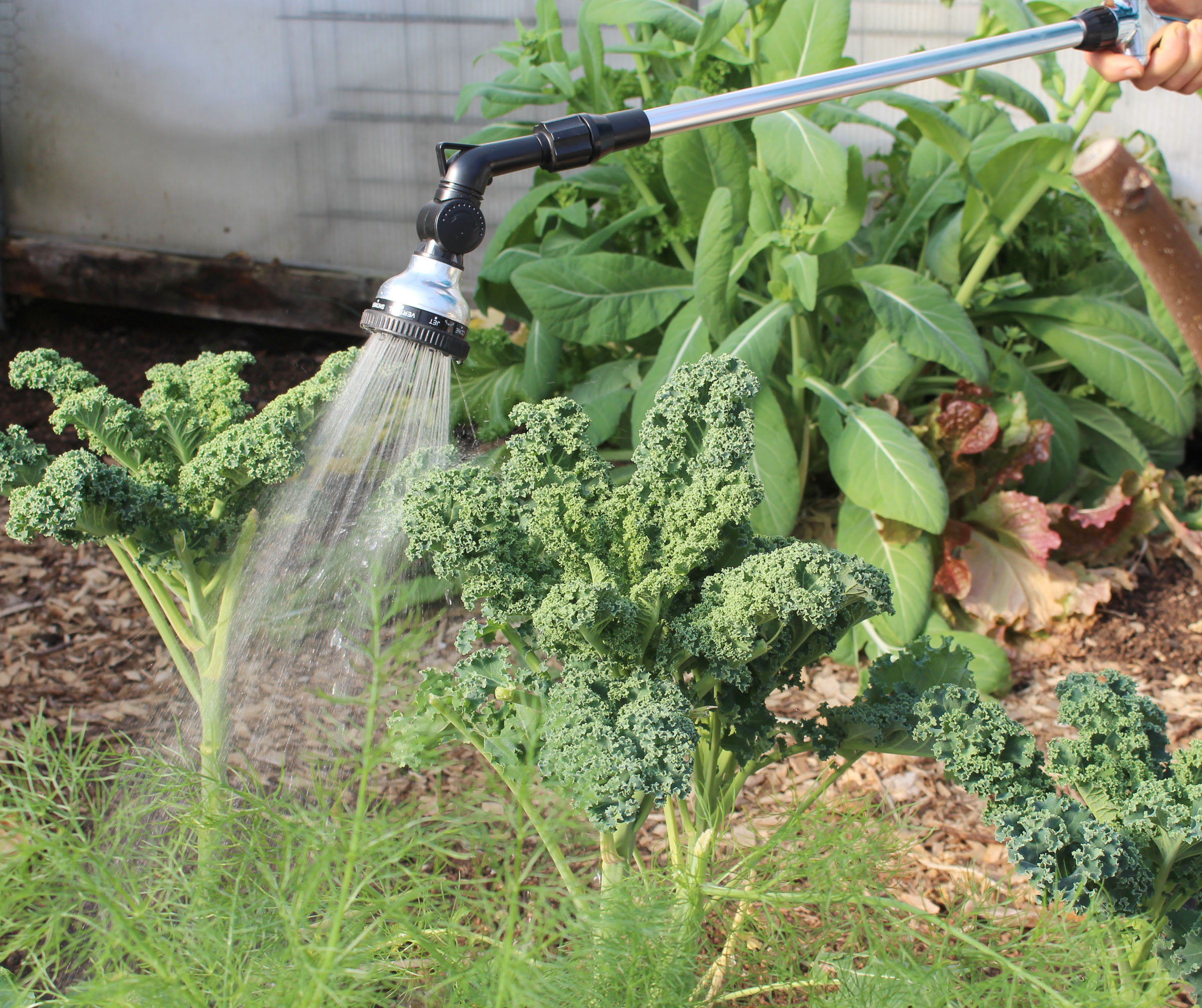 Watering wand
