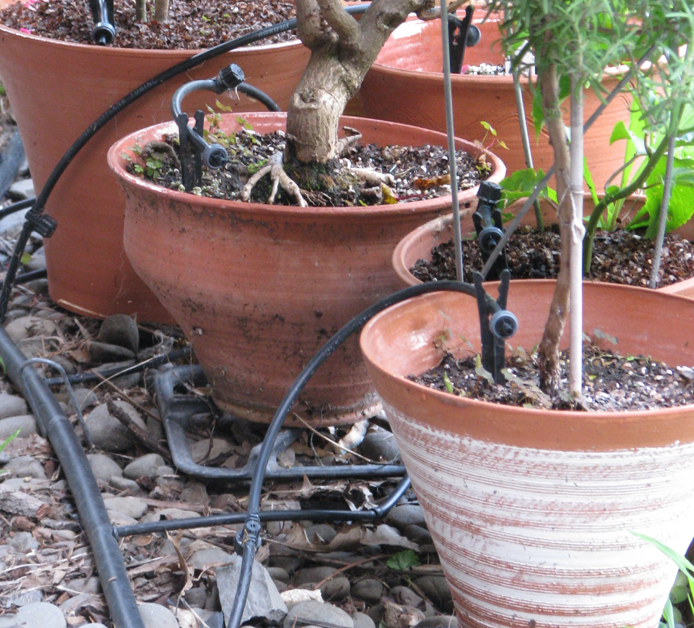 Drip tubes ion flowerpots