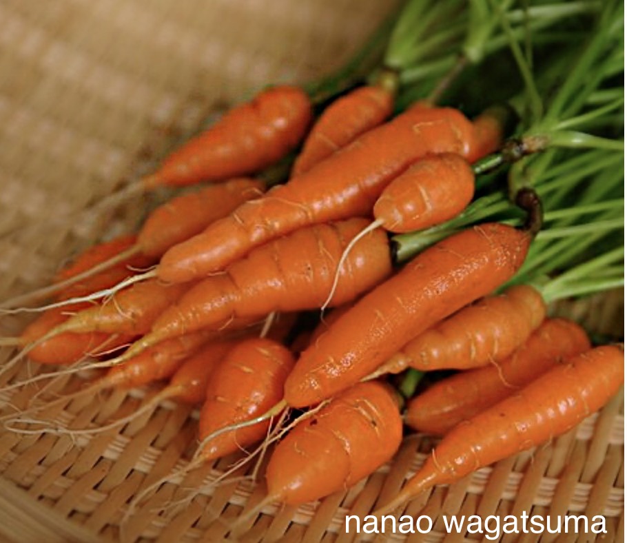 Young carrots