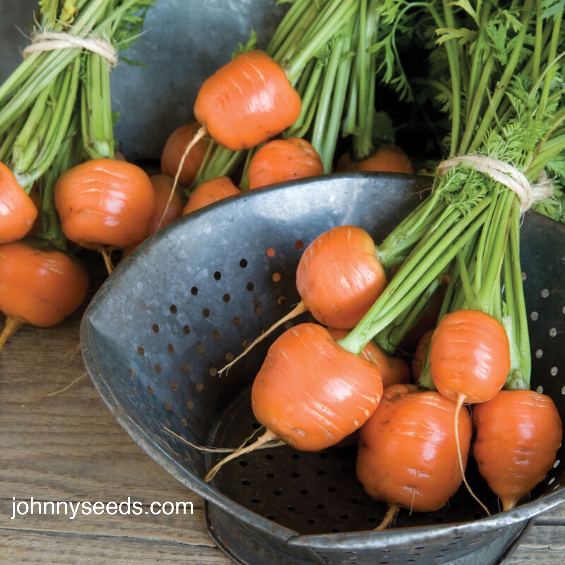 Miniature carrots